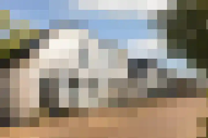 Schellingwouderdijk 99 Amsterdam thumbnail 32