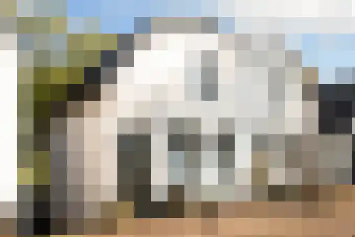 Schellingwouderdijk 99 Amsterdam thumbnail 33