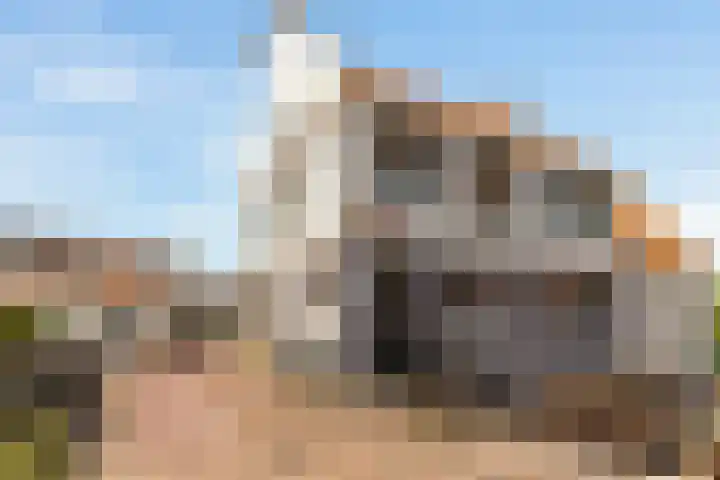 Schellingwouderdijk 99 Amsterdam thumbnail 37