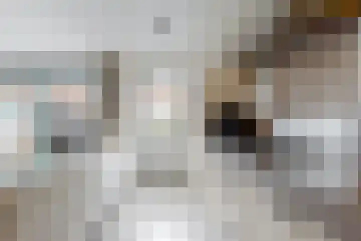Schellinkhof 13 Heerhugowaard thumbnail 10