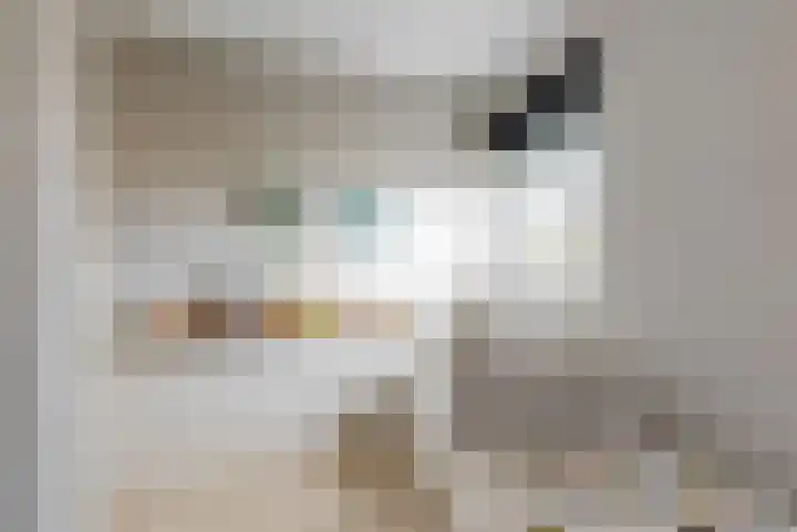 Schellinkhof 13 Heerhugowaard thumbnail 17