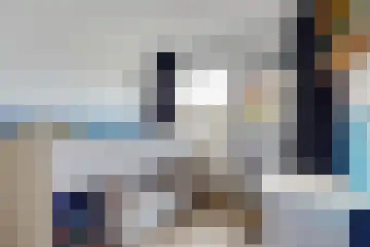 Schellinkhof 13 Heerhugowaard thumbnail 19