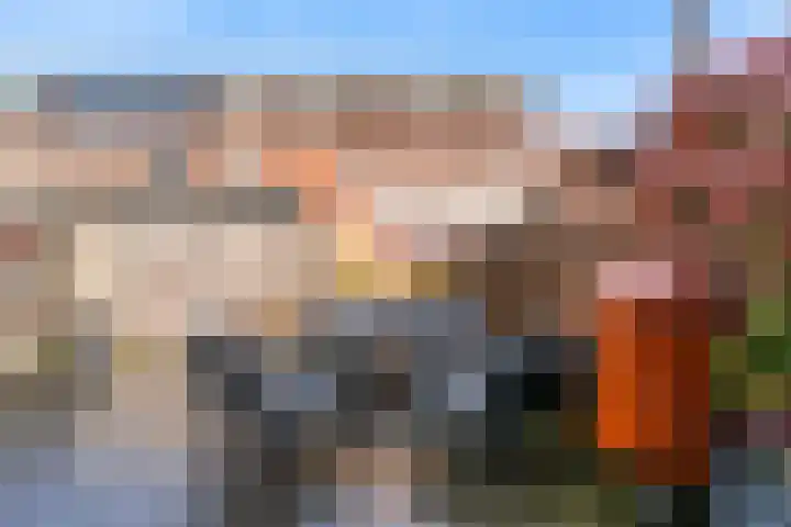 Schellinkhof 13 Heerhugowaard thumbnail 24