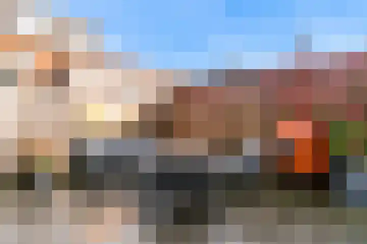 Schellinkhof 13 Heerhugowaard thumbnail 25