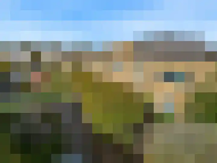 Schellinkhof 13 Heerhugowaard thumbnail 31