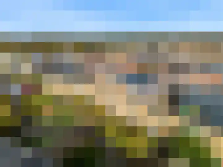 Schellinkhof 13 Heerhugowaard thumbnail 35