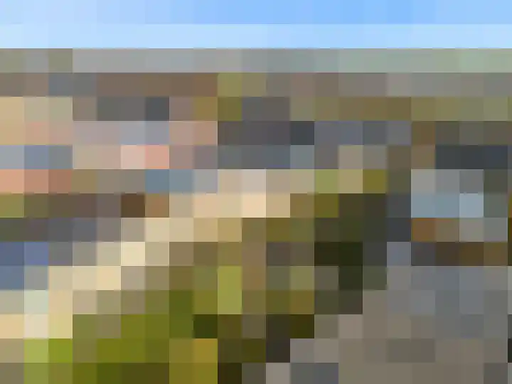 Schellinkhof 13 Heerhugowaard thumbnail 36
