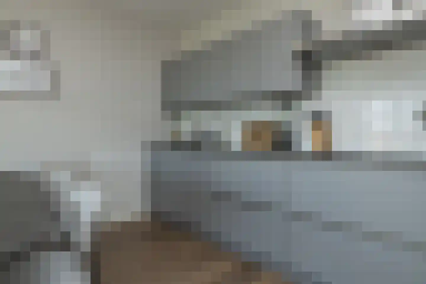 Schellinkhout 18 Hillegom thumbnail 13
