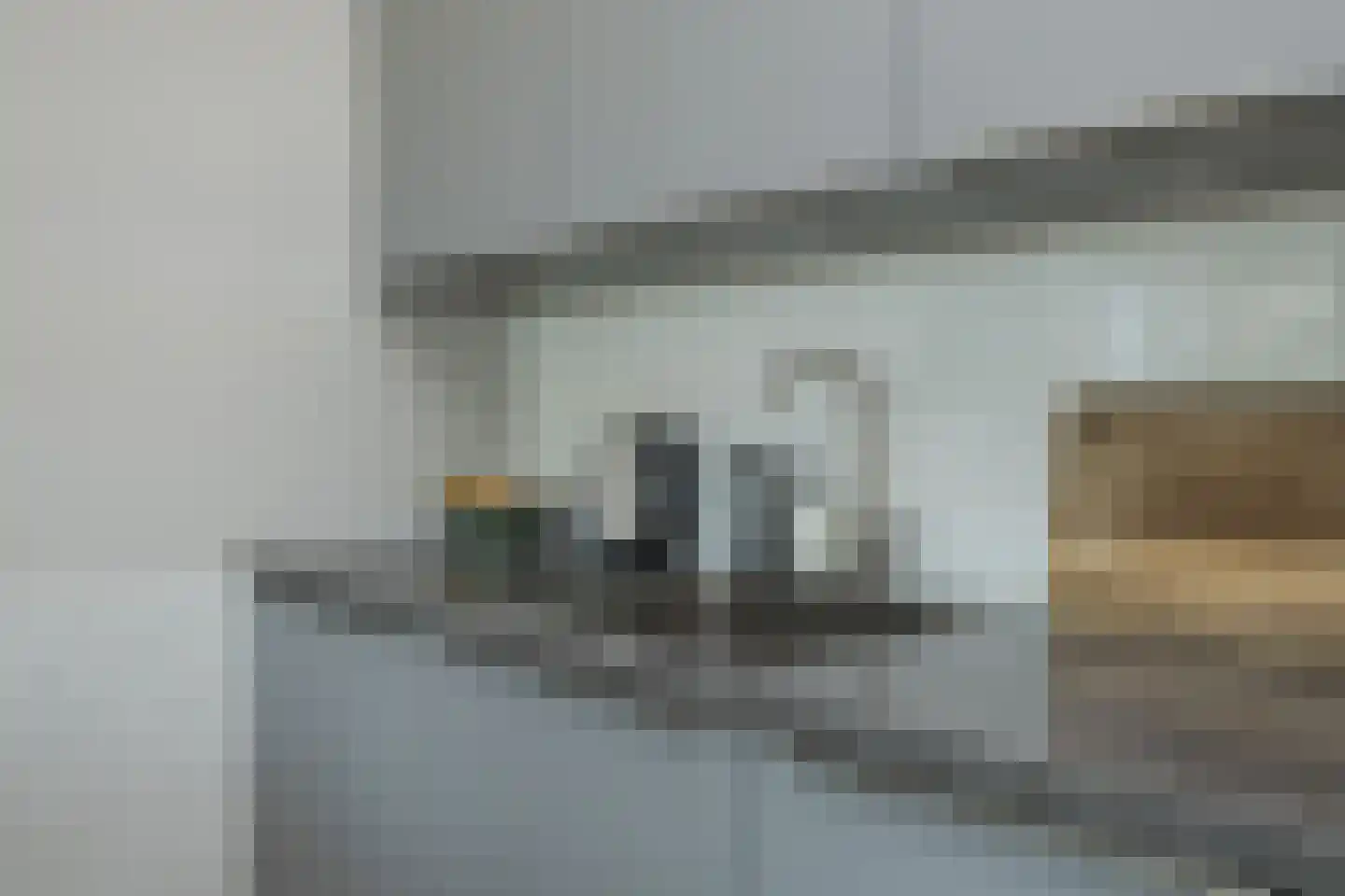 Schellinkhout 18 Hillegom thumbnail 14