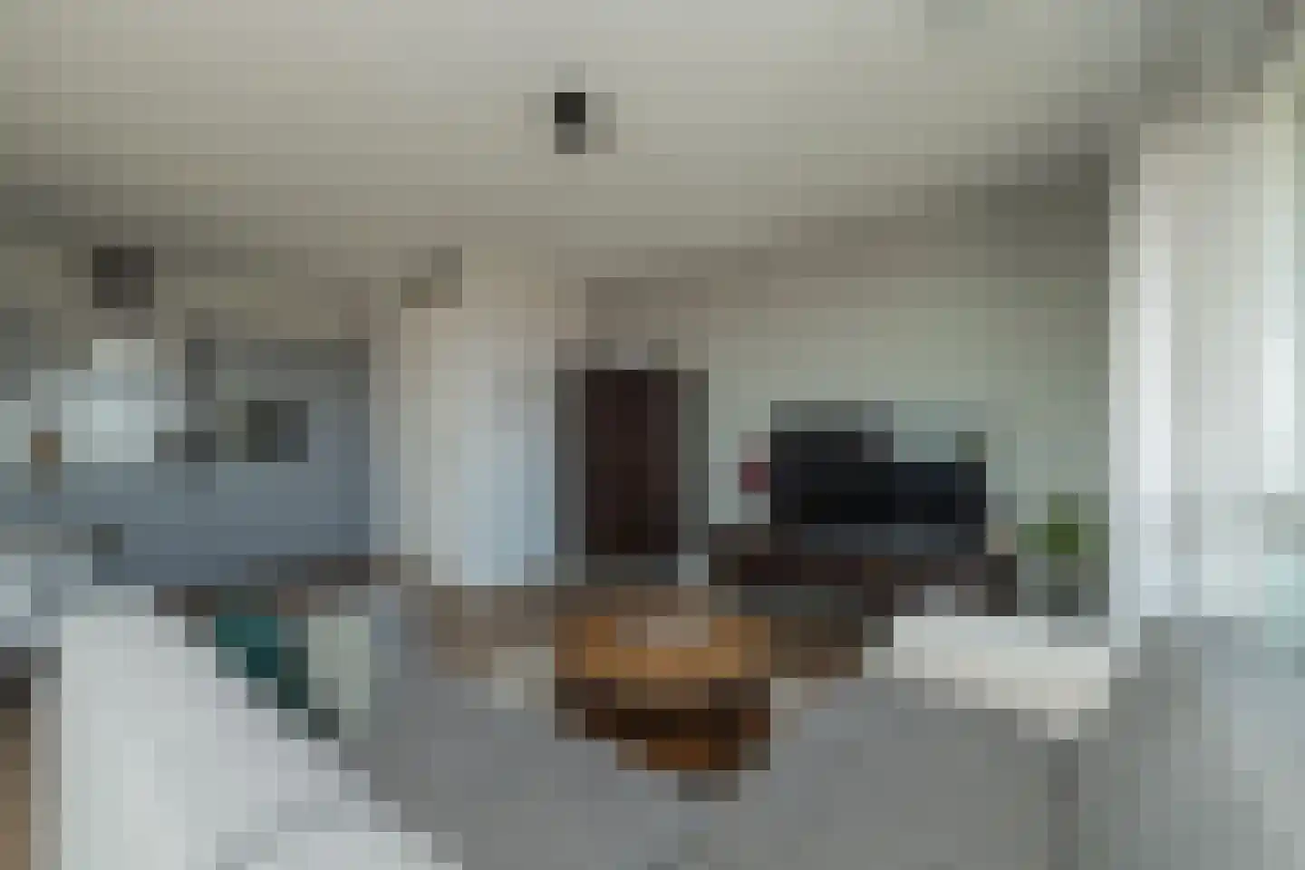 Schellinkhout 18 Hillegom thumbnail 18
