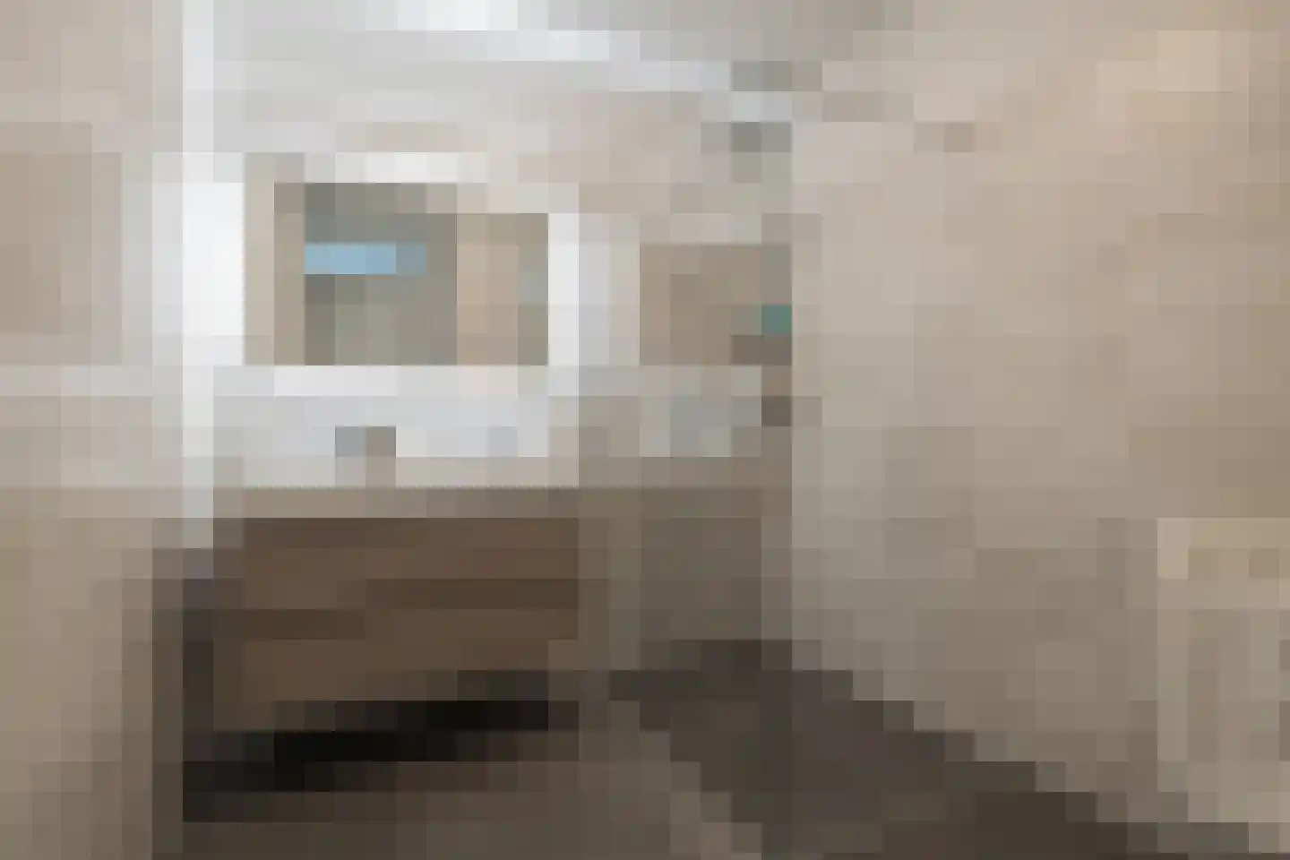 Schellinkhout 18 Hillegom thumbnail 32