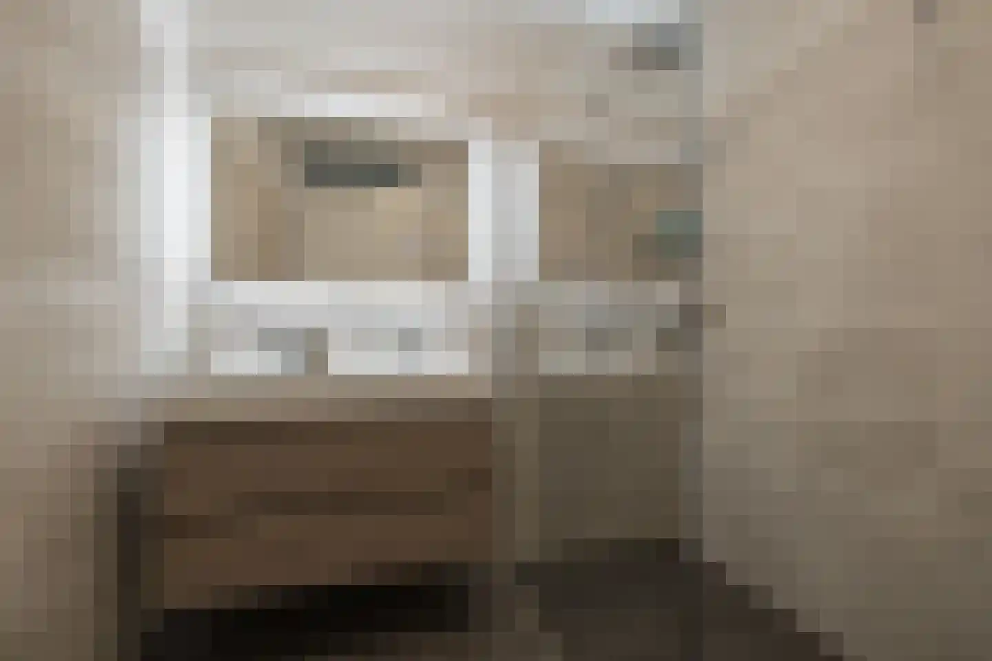 Schellinkhout 18 Hillegom thumbnail 33
