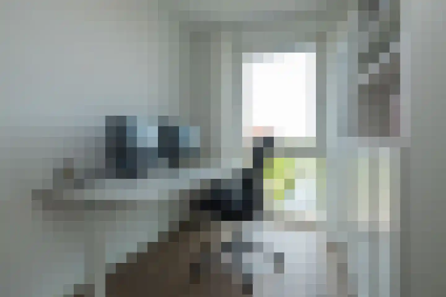 Schellinkhout 18 Hillegom thumbnail 37