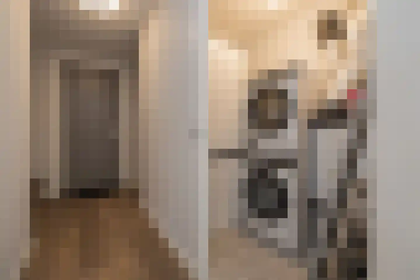 Schellinkhout 18 Hillegom thumbnail 39