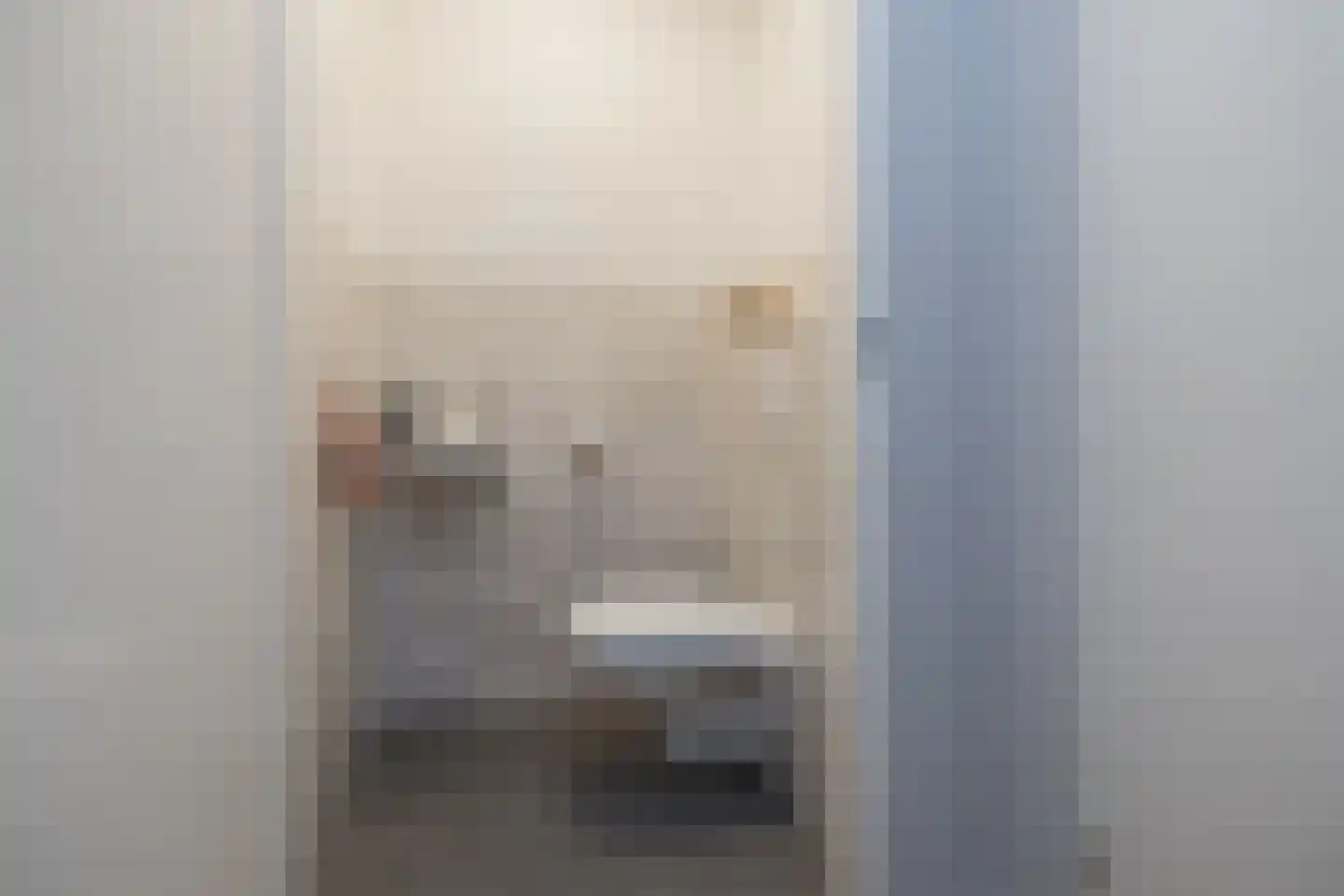 Schellinkhout 18 Hillegom thumbnail 42