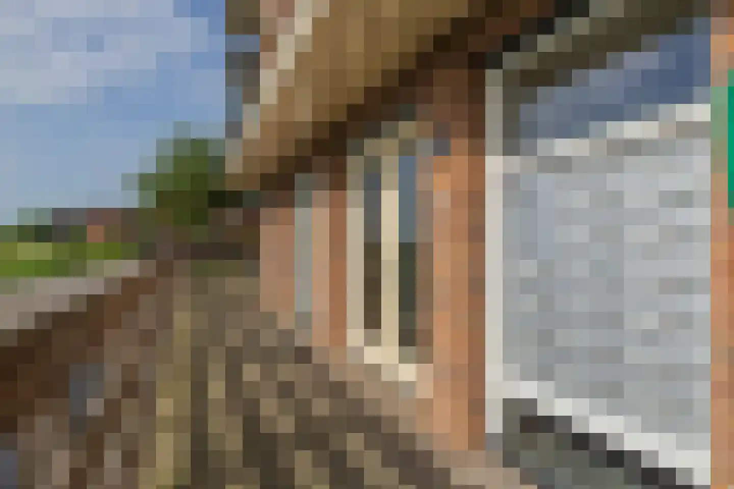 Schellinkhout 18 Hillegom thumbnail 51