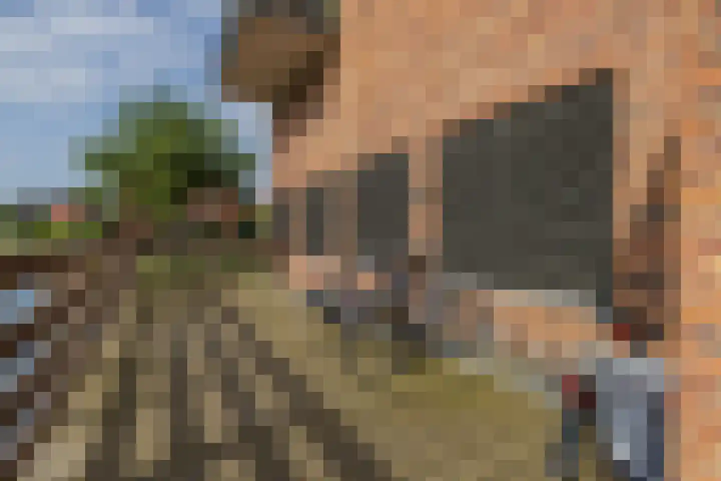 Schellinkhout 18 Hillegom thumbnail 52