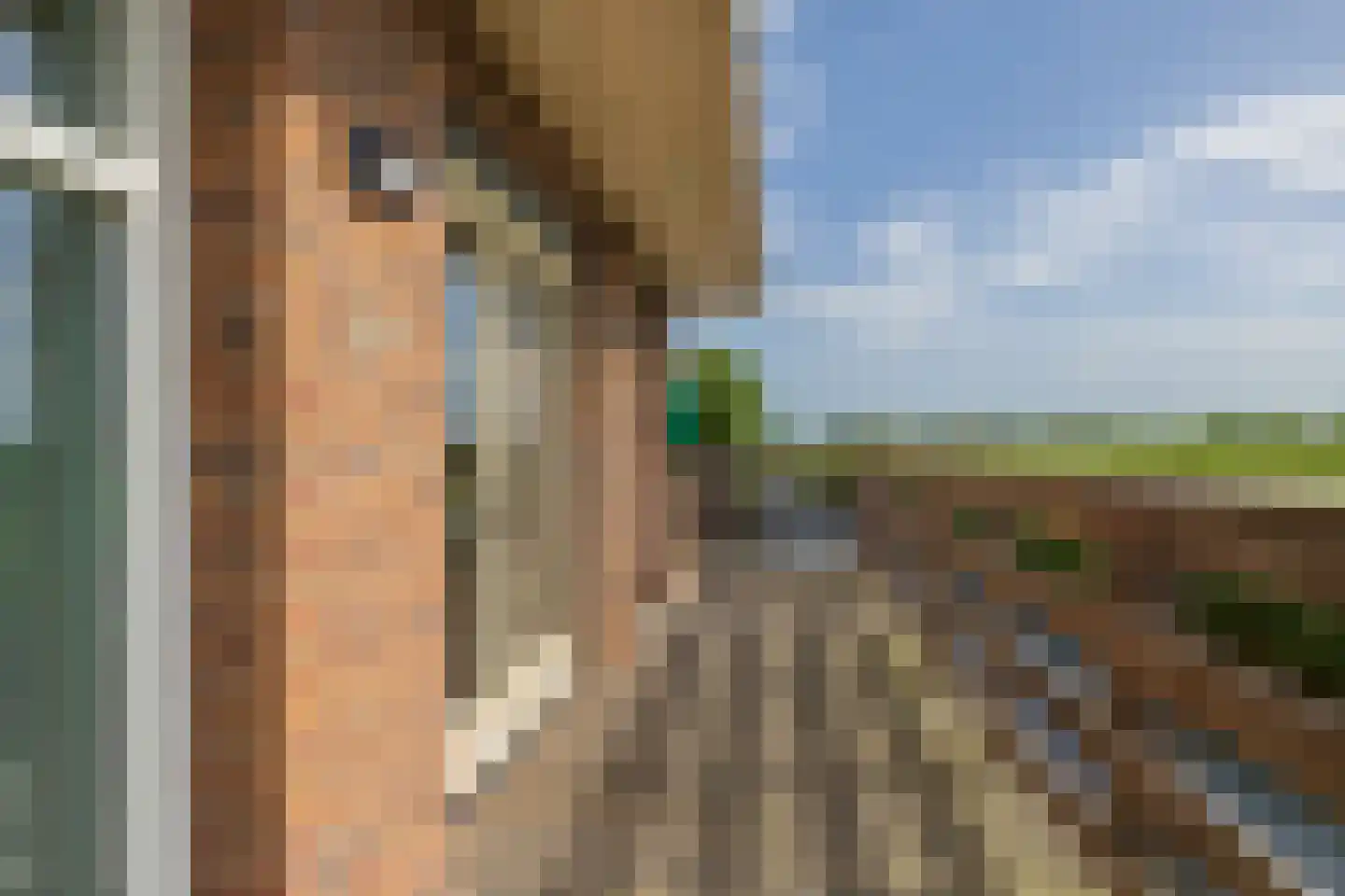 Schellinkhout 18 Hillegom thumbnail 53