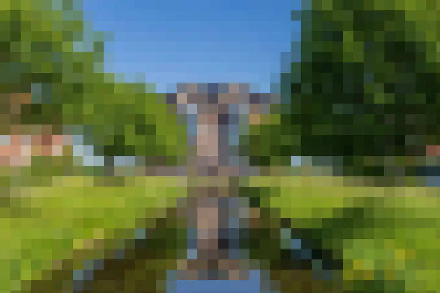Schellinkhout 18 Hillegom thumbnail 55