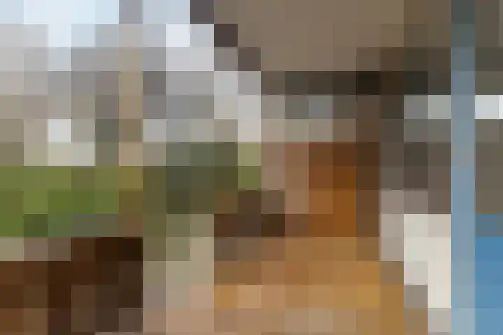 Schelluinenstraat 2 Amsterdam thumbnail 9