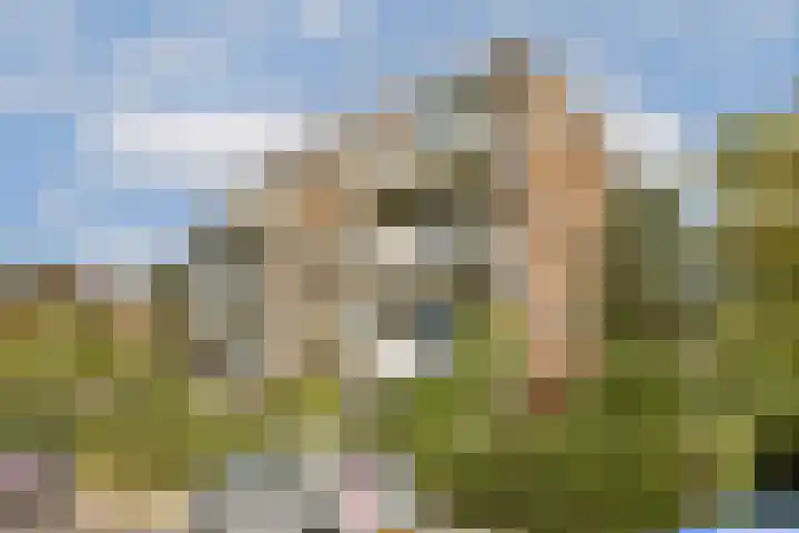 Schelluinenstraat 6 Amsterdam thumbnail 23