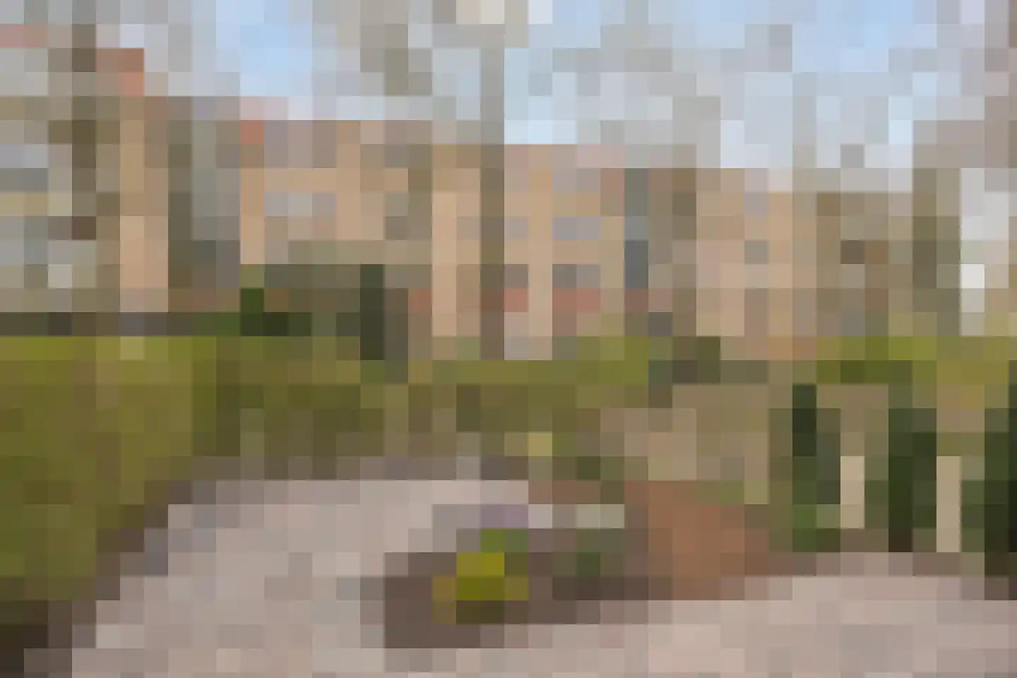 Schelluinenstraat 66 Amsterdam thumbnail 8
