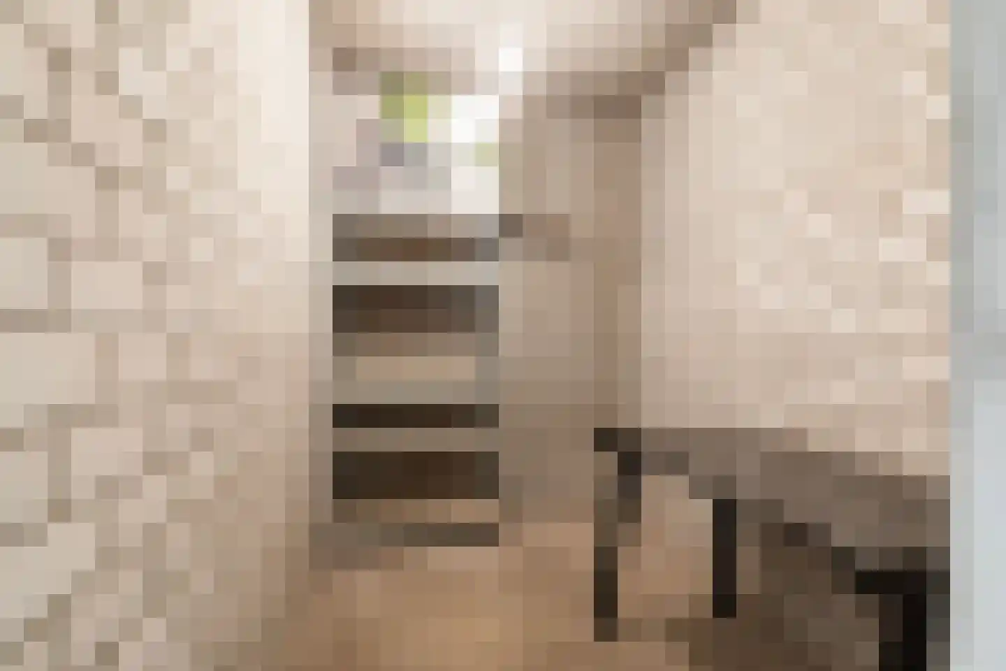 Schelluinenstraat 75 Amsterdam thumbnail 25