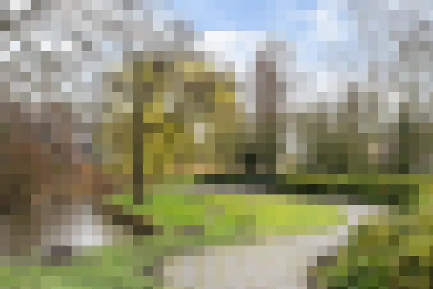 Schelluinenstraat 75 Amsterdam thumbnail 26