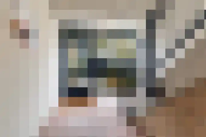 Schelluinenstraat 75 Amsterdam thumbnail 8