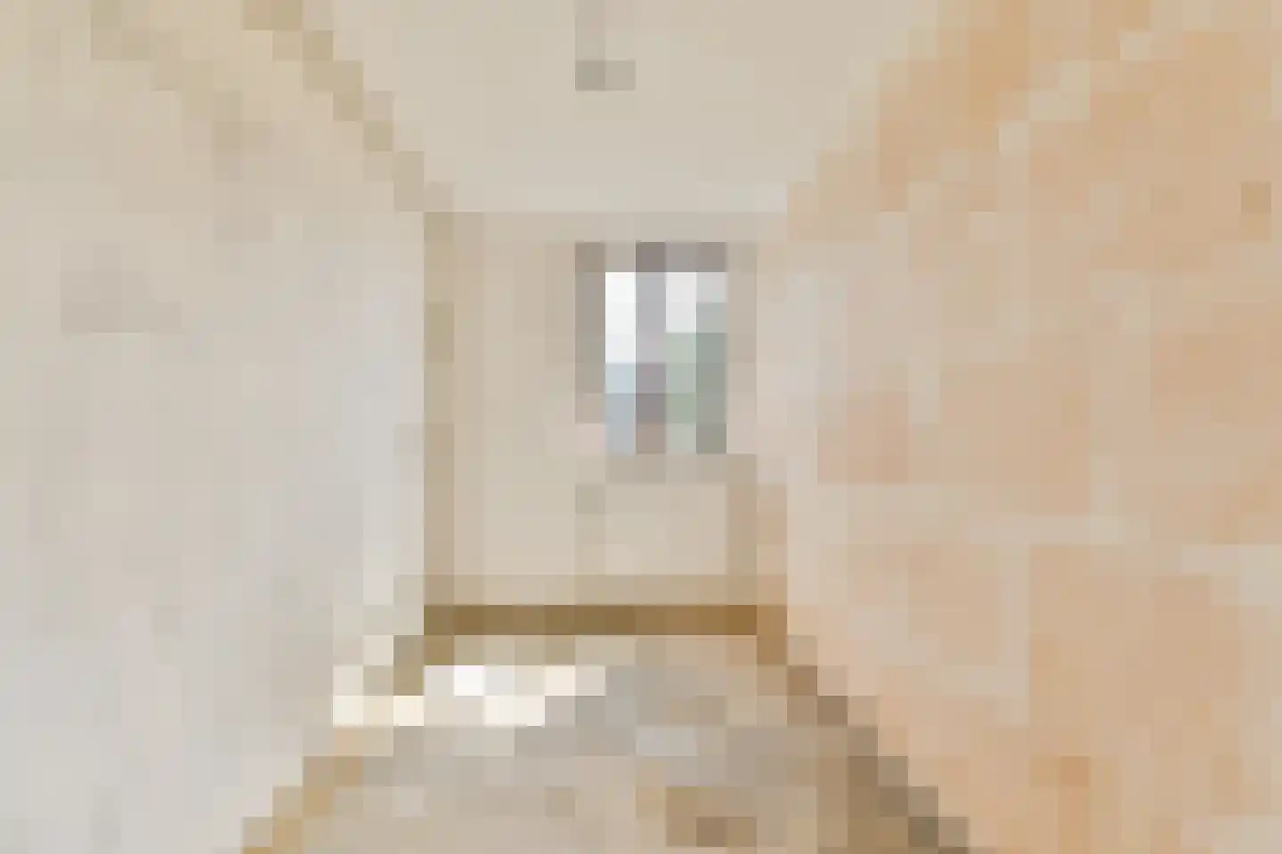 Schelluinenstraat 76 Amsterdam thumbnail 15