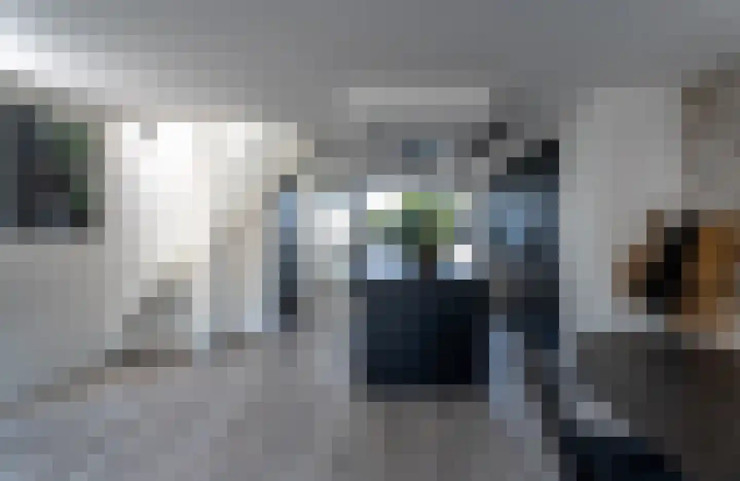 Schelmeroord 21 Rotterdam thumbnail 13
