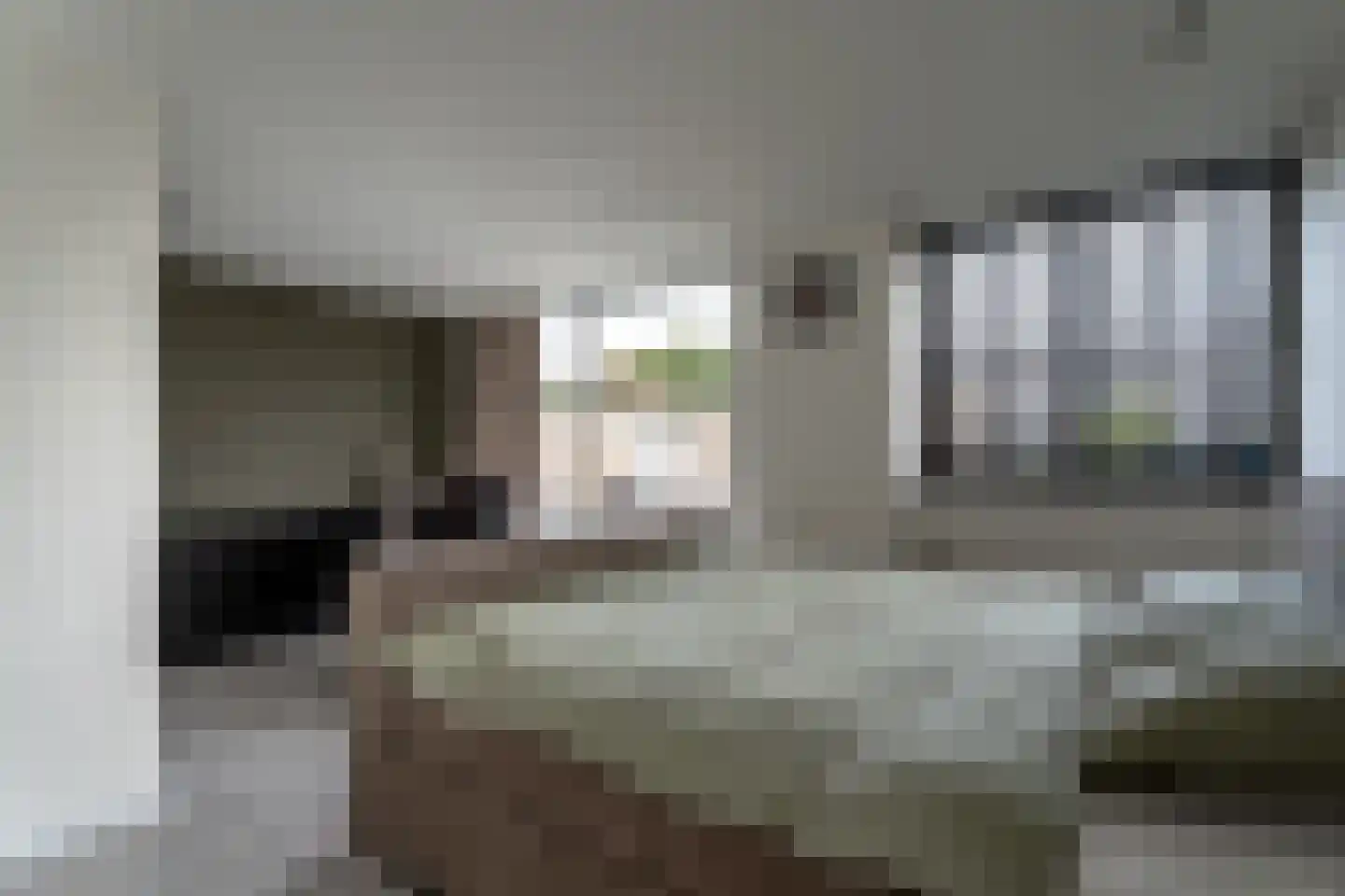 Schelmeroord 21 Rotterdam thumbnail 24