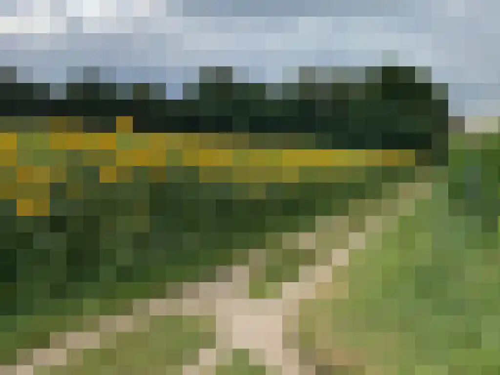 Schelmseweg 101 Oosterbeek thumbnail 11