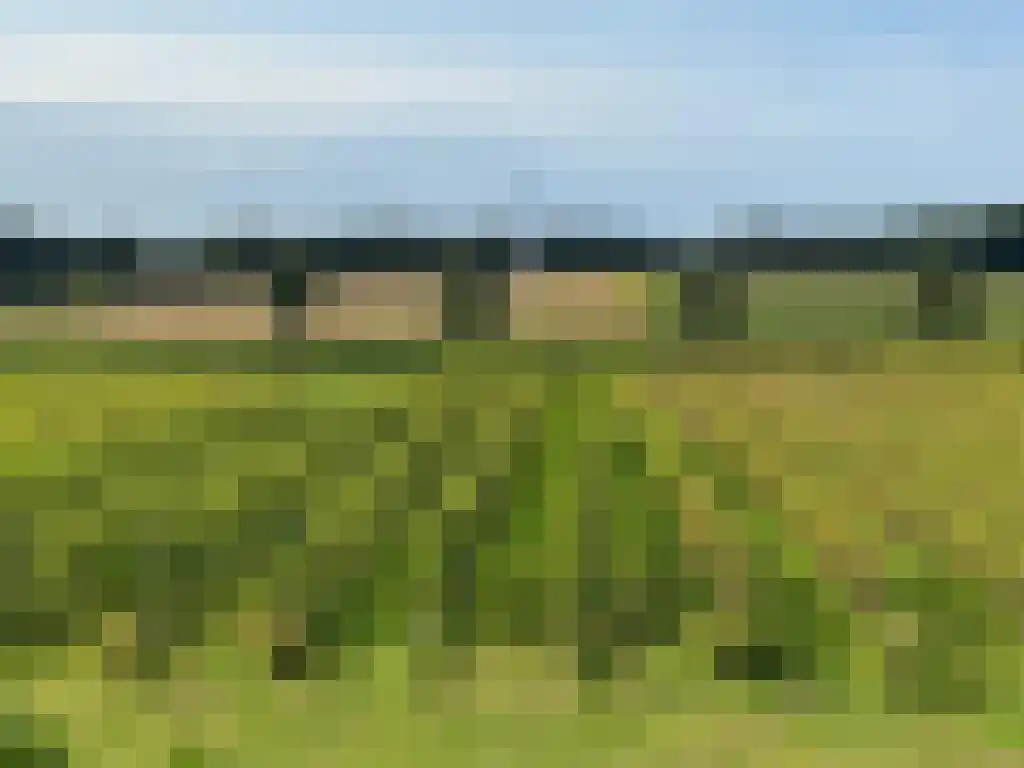 Schelmseweg 101 Oosterbeek thumbnail 12