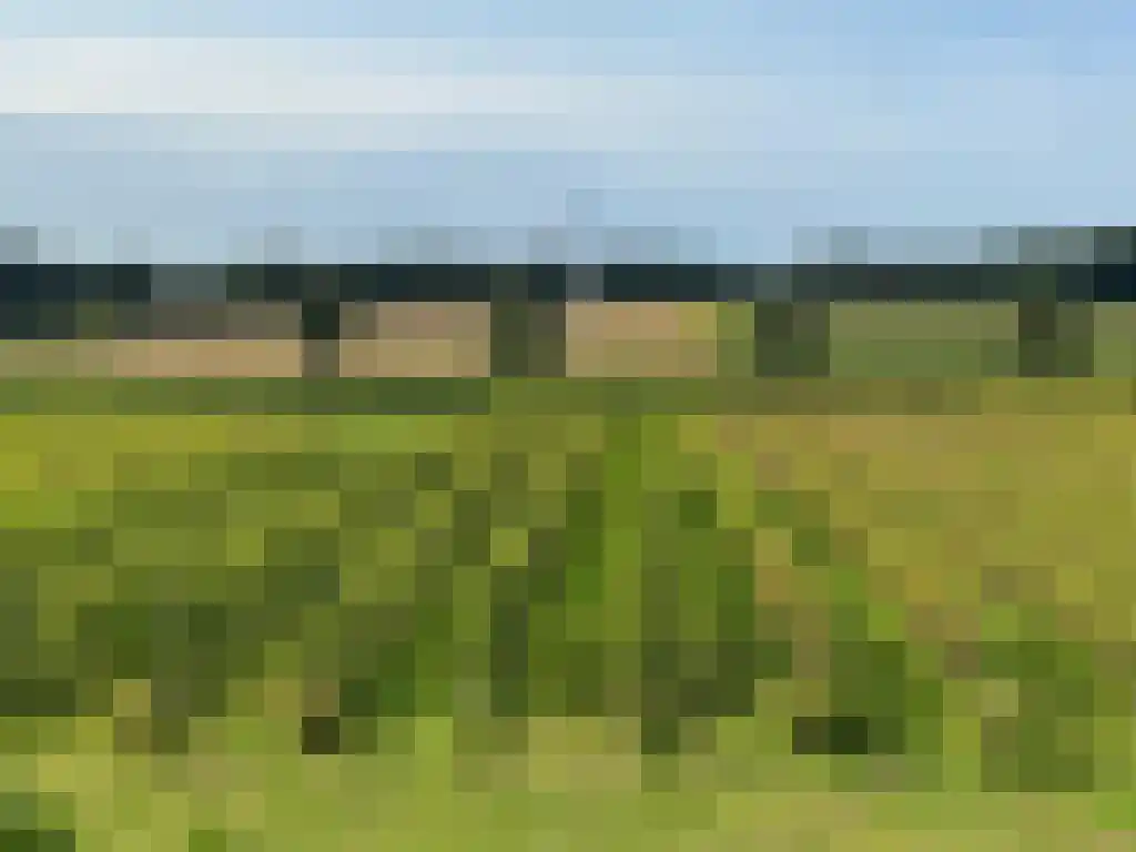Schelmseweg 101 Oosterbeek thumbnail 12