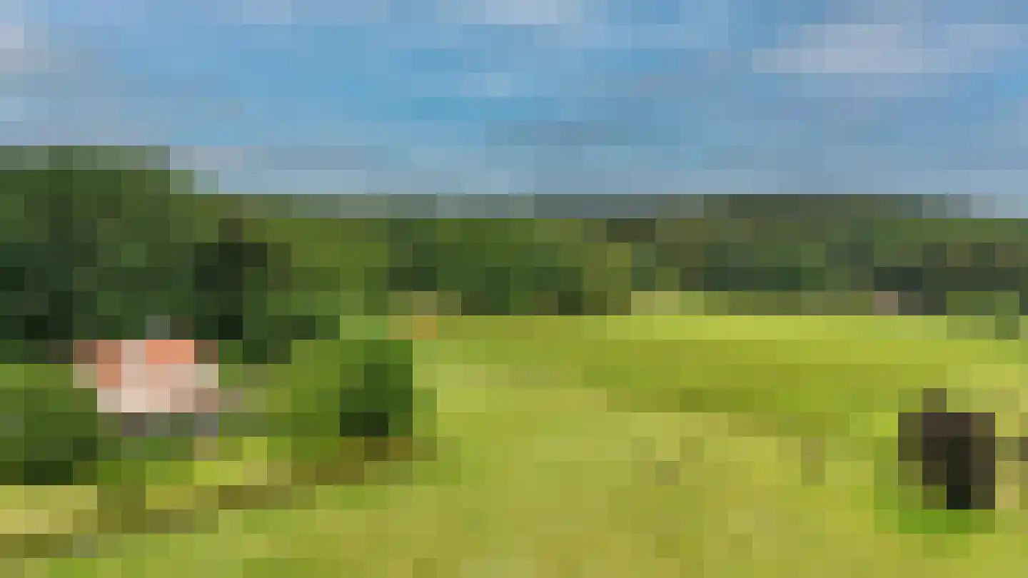 Schelmseweg 101 Oosterbeek thumbnail 4