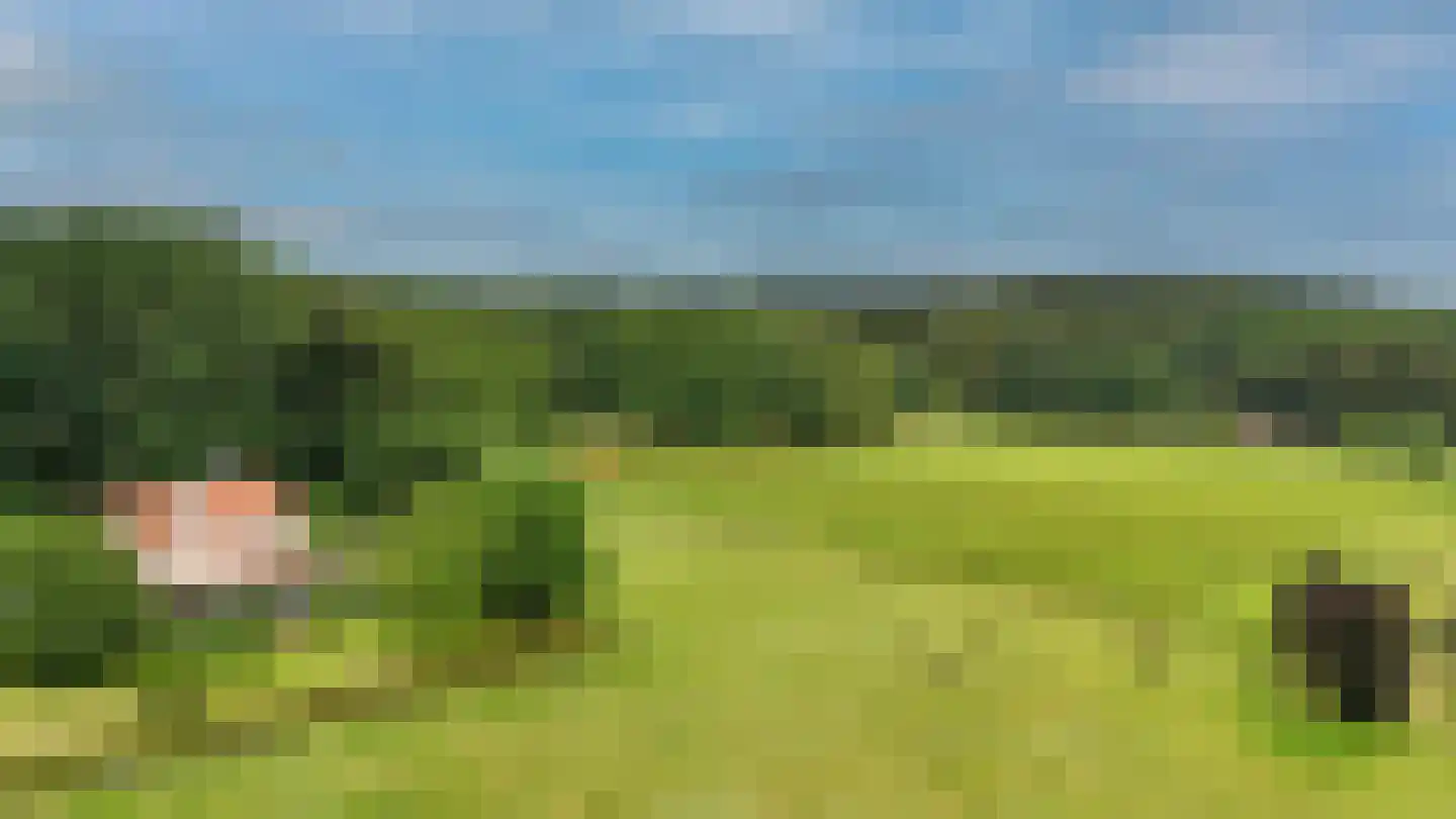 Schelmseweg 101 Oosterbeek thumbnail 4