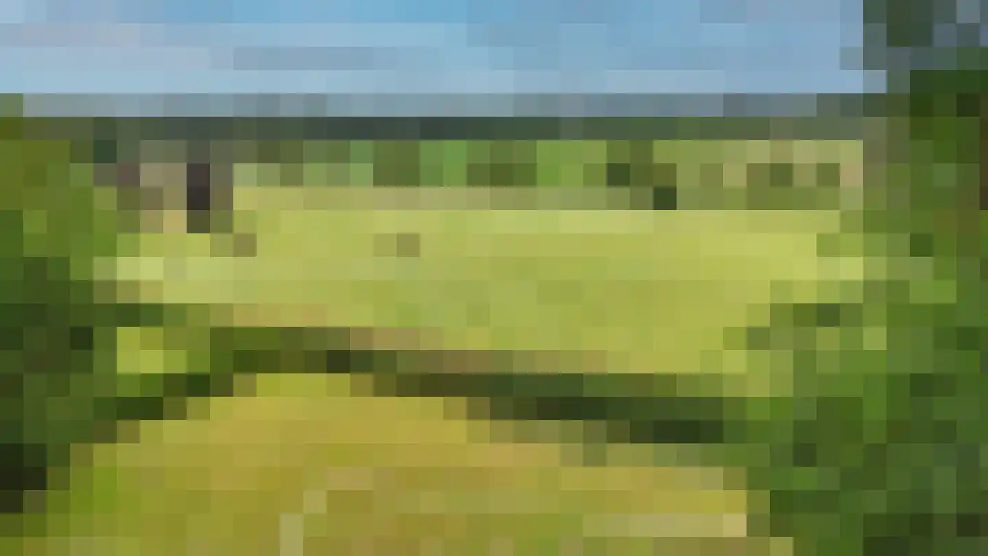 Schelmseweg 101 Oosterbeek thumbnail 5