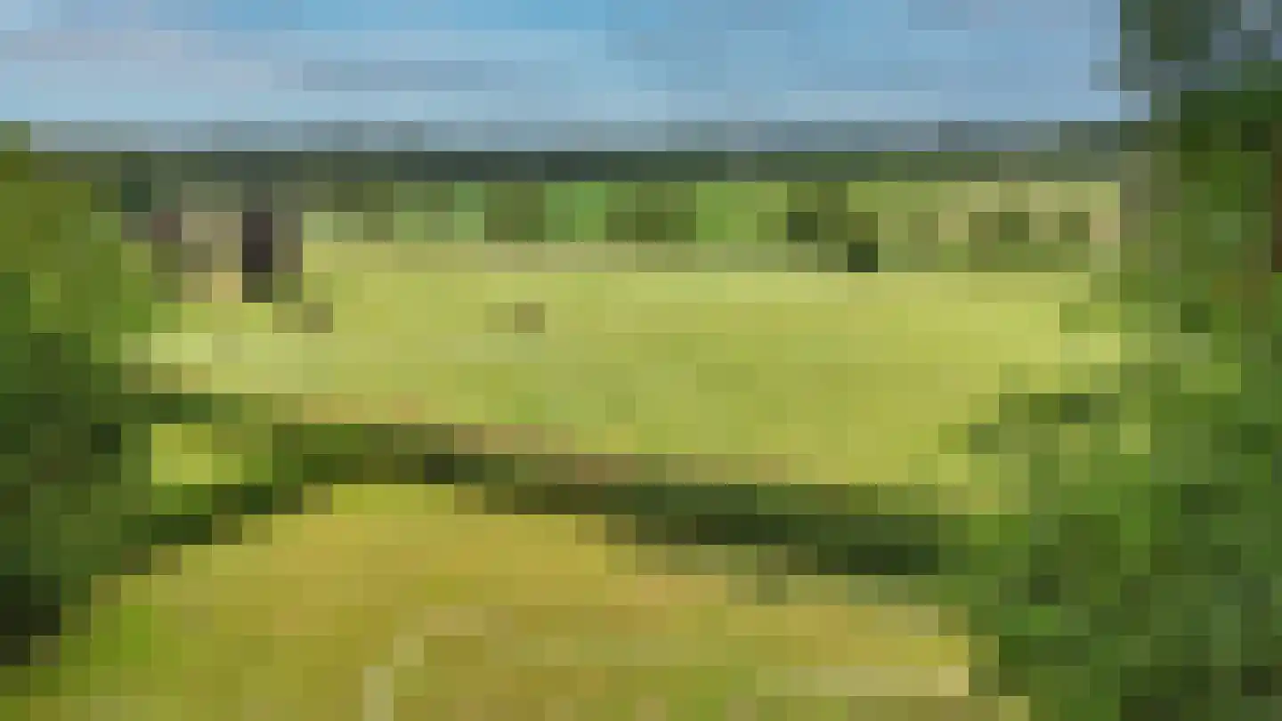 Schelmseweg 101 Oosterbeek thumbnail 5
