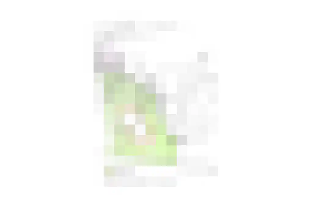 Schelmseweg 101 Oosterbeek thumbnail 6