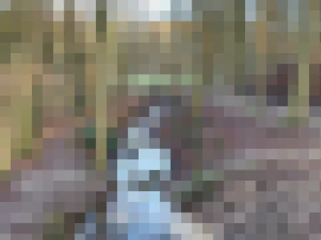 Schelmseweg 101 Oosterbeek thumbnail 9