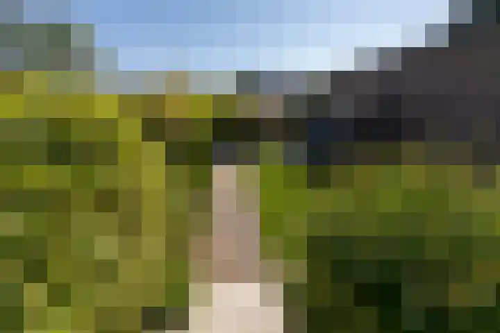 Schelmseweg 4 Rozendaal thumbnail 22