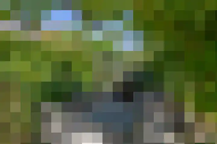 Schelmseweg 4 Rozendaal thumbnail 24
