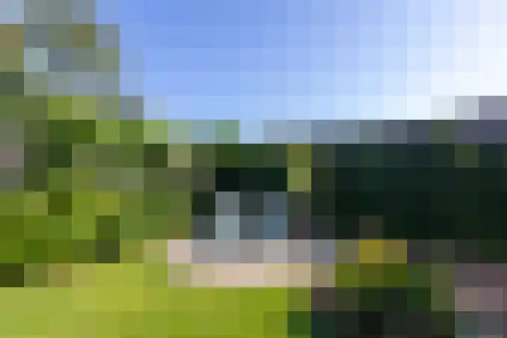 Schelmseweg 4 Rozendaal thumbnail 26