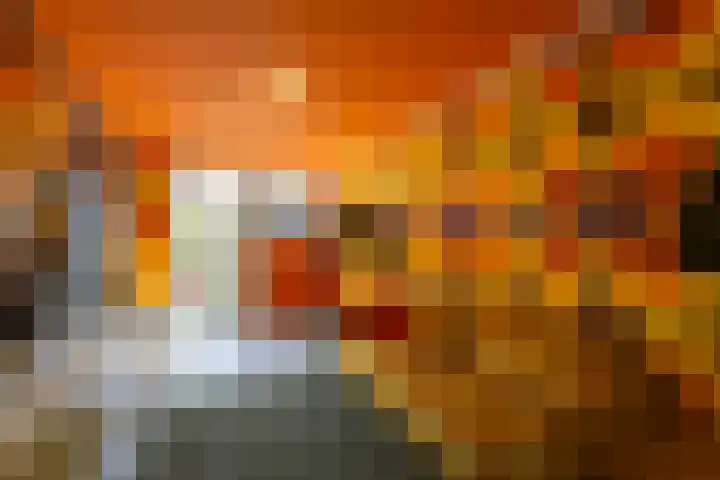 Schelmseweg 4 Rozendaal thumbnail 30