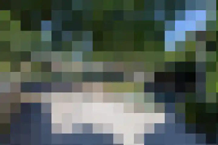 Schelmseweg 4 Rozendaal thumbnail 50