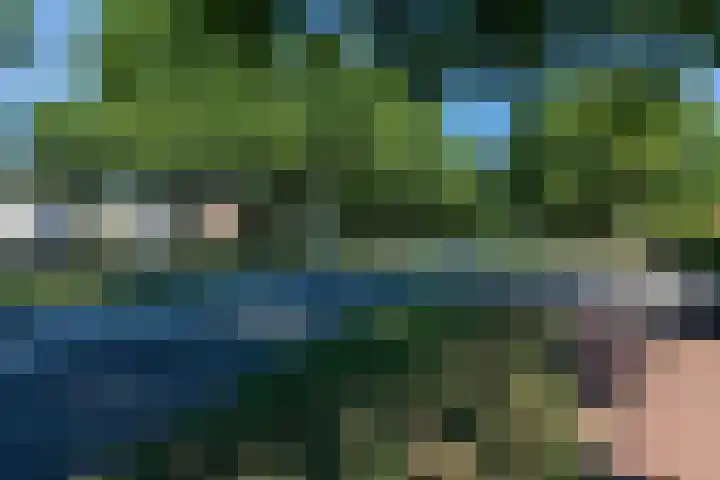 Schelmseweg 4 Rozendaal thumbnail 51