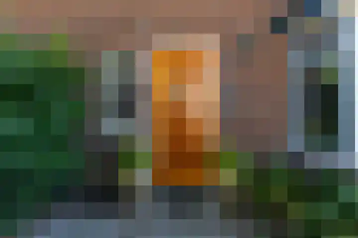 Schelmseweg 4 Rozendaal thumbnail 8