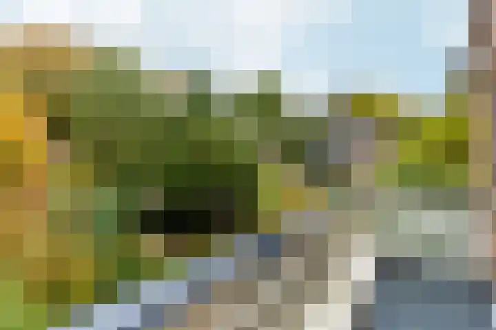 Schelmseweg 46 Oosterbeek thumbnail 25