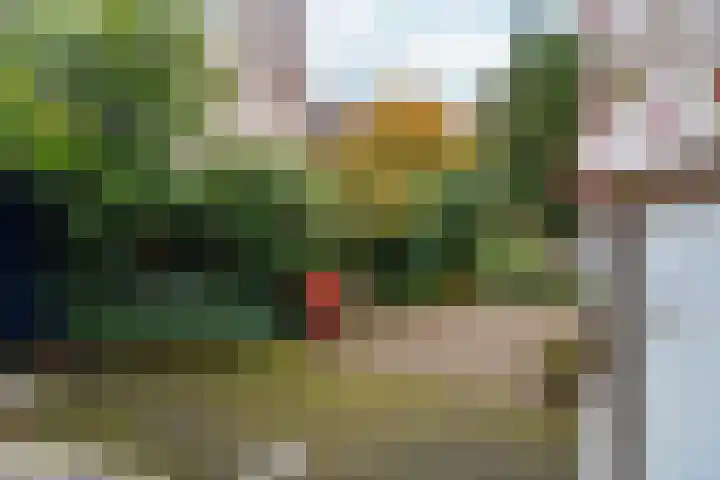 Schelmseweg 46 Oosterbeek thumbnail 41